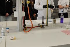 IMG_20260326_153459-4