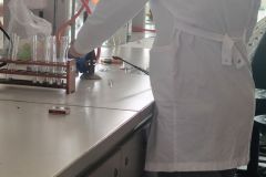 IMG_20260326_153459-5