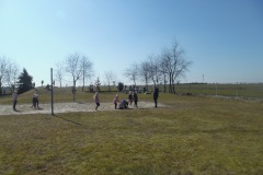 SAM_8549