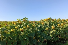 IMG20260928090441