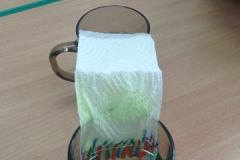image000003_2