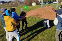 IMG_20251105_124150-1