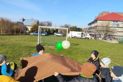 IMG_20251105_124227-1